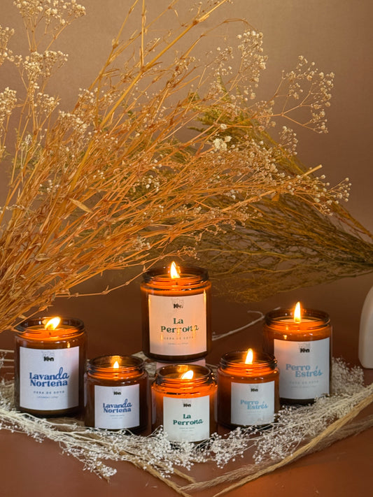 Perro Estres - Vela de Soya Premium Brisa de Mar