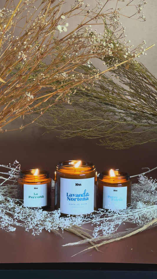 Lavanda Norteña – Vela de Soya Premium Lavanda